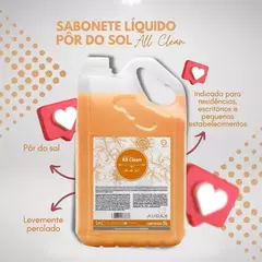 SABONETE LIQUIDO 5 LITROS POR DO SOL ALL CLEAN AUDAX - comprar online