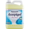 Sabonete Antisséptico Inodoro  Asseptgel 5L Start