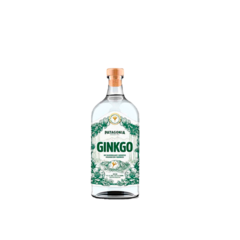GIN GINKGO CERVECERIA PATAGONIA 500 ml
