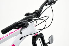 Bicicleta Mountain Bike Fire Bird ECO DAMA Rodado 29 Aluminio - comprar online
