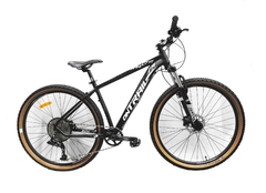 Bicicleta Fire Bird ON TRAIL 12v R29 Aluminio - comprar online