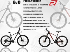 Bicicleta MTB RALEIGH Modelo MOJAVE 8.0 - R29 - Cuadro Carbono en internet