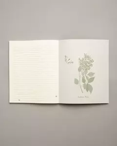 CUADERNO FRUTOS - 20 X 25 CM - tienda online