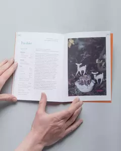 LIBRO DE RECETAS [ FRUTOS DE LA PATAGONIA] en internet