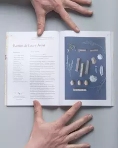 LIBRO DE RECETAS [ FRUTOS DE ESTACIÓN]