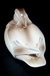 Escultura de porcelana Noritake na internet
