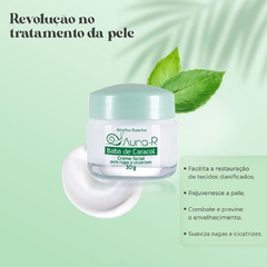 Creme Facial Rugas Cicatrizes Baba de Caracol Abelha Rainha - Importados da Malu