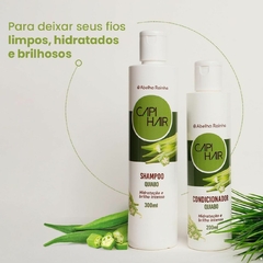 Kit Shampoo e Condicionador Quiabo Capi Hair Hidratação e Brilho Intenso Abelha Rainha na internet