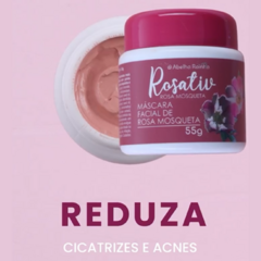 Máscara Facial de Rosa Mosqueta 3 Em 1 Rosativ Abelha Rainha REF 3097 - comprar online