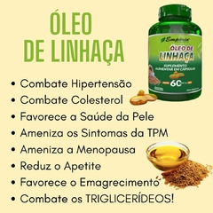 Óleo De Linhaça Auxilia Hipertensão Colesterol Menopausa Melhora Pele 60 Cápsulas Empório Saúde Natural REF 1230 - comprar online