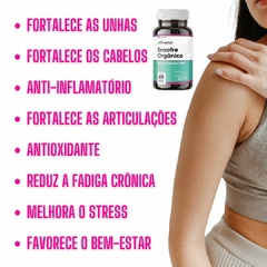 Suplemento Alimentar Em Cápsulas Enxofre Orgânico Msm Anti-inflamatório Antioxidante Empório Saúde Natural REF 1424 - comprar online