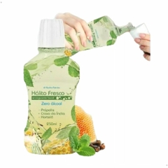 Enxaguante Bucal Própolis, Cravo da Índia e Hortelã 250ml Hálito Fresco Abelha Rainha REF 2360 - comprar online