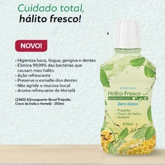 Enxaguante Bucal Própolis, Cravo da Índia e Hortelã 250ml Hálito Fresco Abelha Rainha REF 2360 - loja online