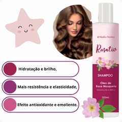 Shampoo Com Óleo de Rosa Mosqueta Hidratação E Brilho 300ml Rosativ Abelha Rainha REF 3098 na internet