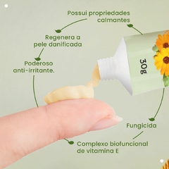 Pasta Concentrada Propólis e Calêndula BOM MÉDICO Abelha Rainha 30gr REF 3421 - Importados da Malu