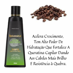 Shampoo Terapia do Café Antiqueda INTENSIVE Abelha Rainha 300ml Café Verde e Biotina REF 4091 na internet