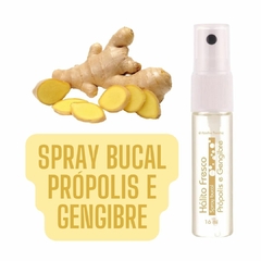 Spray Bucal Própolis e Gengibre Hálito Fresco Abelha Rainha REF 2356 - comprar online