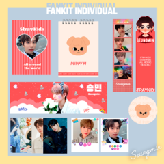 Imagem do Fankit Stray Kids Individual - Escolher Integrante