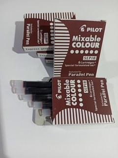 Tinta Cartucho Pilot Parallel Pen - tienda online