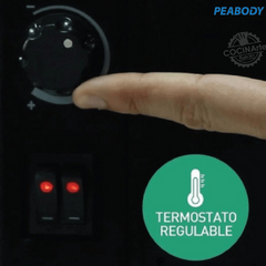 PEABODY - PANEL VITROCONVECTOR 1000 W - PE-VC10N en internet