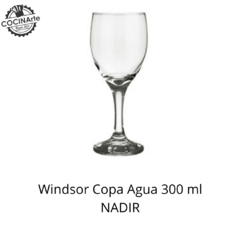 WINDSOR COPA AGUA 300 ML NADIR