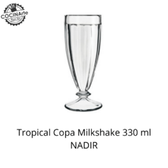 TROPICAL COPA MILK SHAKE 360 ML NADIR