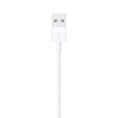 Cable Lightning iPhone 1 Metro en internet