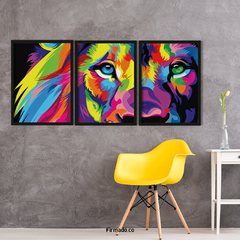 Lion Color trio