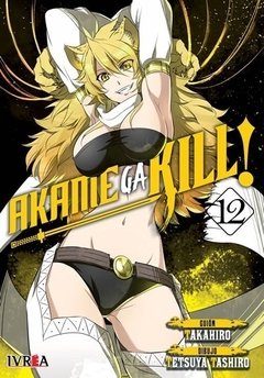 Akame ga Kill! - 12