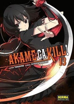 Akame ga Kill! - 13