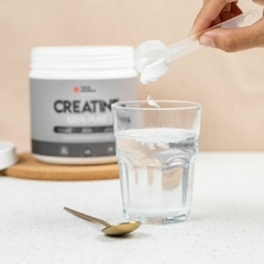 True Creatine 100% Pure 300g True Sourceendimento dentro e fora da academia. - loja online