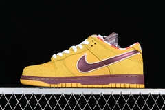 Nike Dunk SB