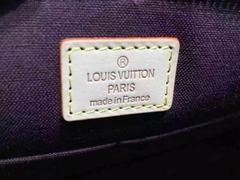 Bolsa Louis Vuitton na internet