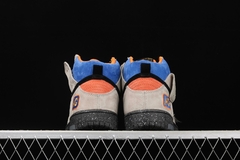 Nike Dunk SB na internet