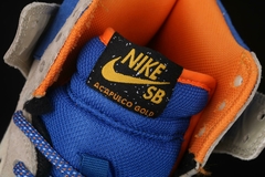 Nike Dunk SB na internet