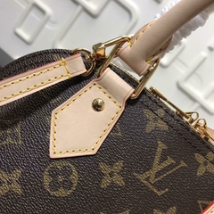 Bolsa Louis Vuitton na internet