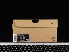 Nike Dunk SB na internet