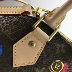 Bolsa Louis Vuitton