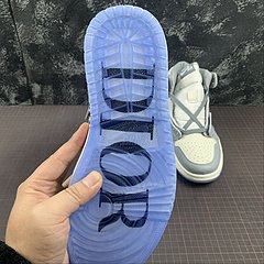 Air jordan dior - NL Outlet