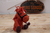 Cavalo em Crochê Alaranjado Amigurumi - Puro Sangue
