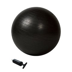 BALÓN DE PILATES 65CM EVOLUTION