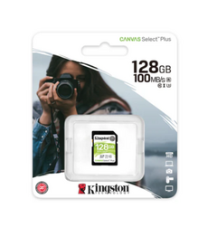 128GB SDHC Canvas Select Plus 100R C10 UHS-I U1 V10 na internet