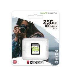 256GB SDHC Canvas Select Plus 100R C10 UHS-I U1 V10 na internet