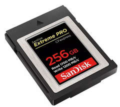 CARTÃO SANDISK CF EXPRESS 256GB EXTREME PRO - comprar online