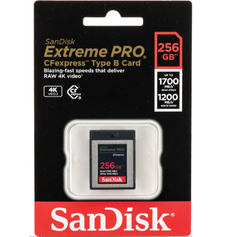 CARTÃO SANDISK CF EXPRESS 256GB EXTREME PRO na internet