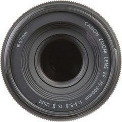 Lente Objetiva Canon EF 70-300mm f/4-5.6 IS II Nano USM - Foto Imagem Rio