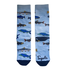 Meia Peixes de Bonito - cano médio - azul claro - comprar online