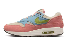 Nike Air Max 1 Light Madder Root