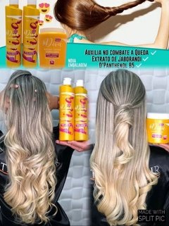 Kit S.O.S Diva Manutenção Cabelo 500ml - Troia Hair - comprar online