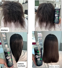 Kit Vegano Alisado Progresivo Vegan Troia Hair 1000ml - Tratamiento para alisar el cabello sin formaldehído en internet